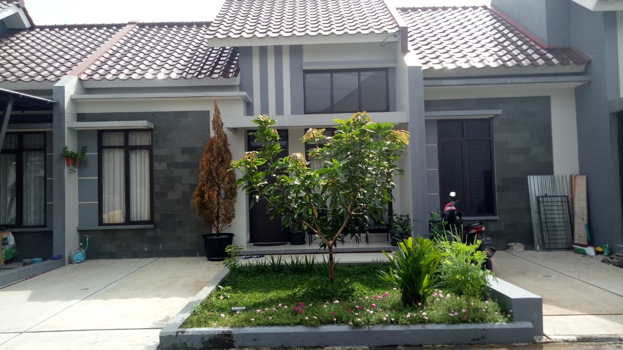 arillo real estate theme